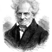 De WIL van Arthur Schopenhauer.