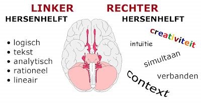 De hersenhelften ondergaan een hiërarchie verwisseling.